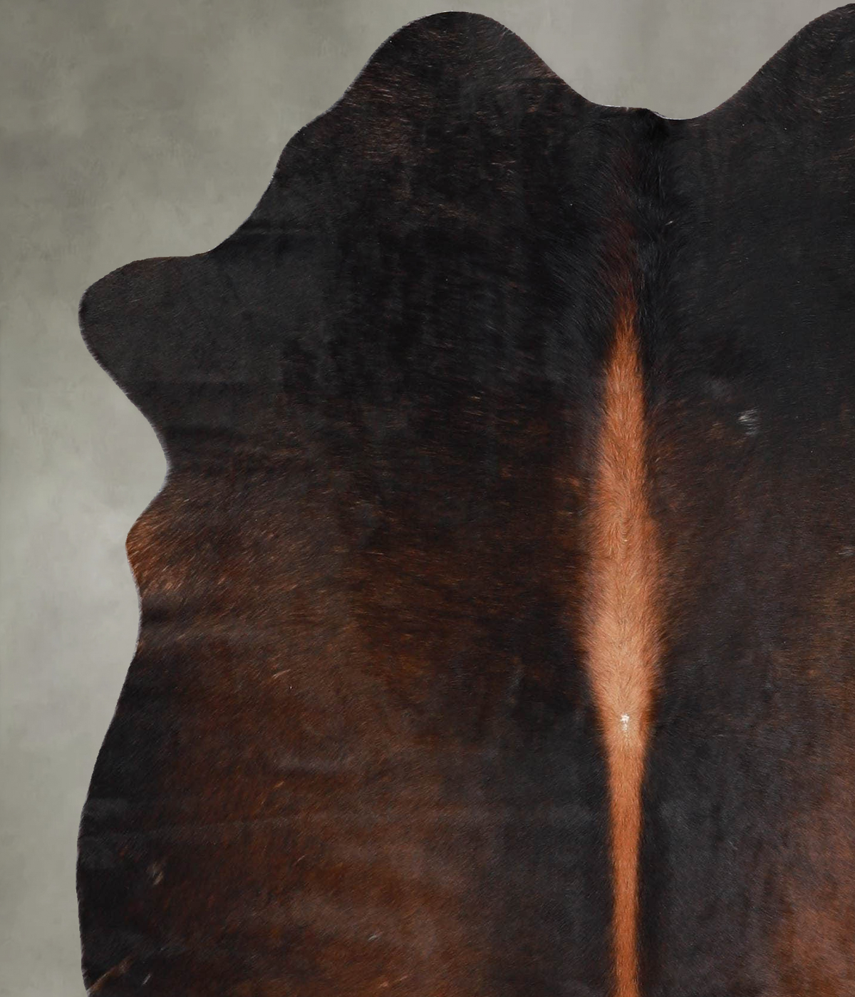 Chocolate Medium Brazilian Cowhide Rug 5'7"H x 4'5"W #A55874 by Hudson Hides