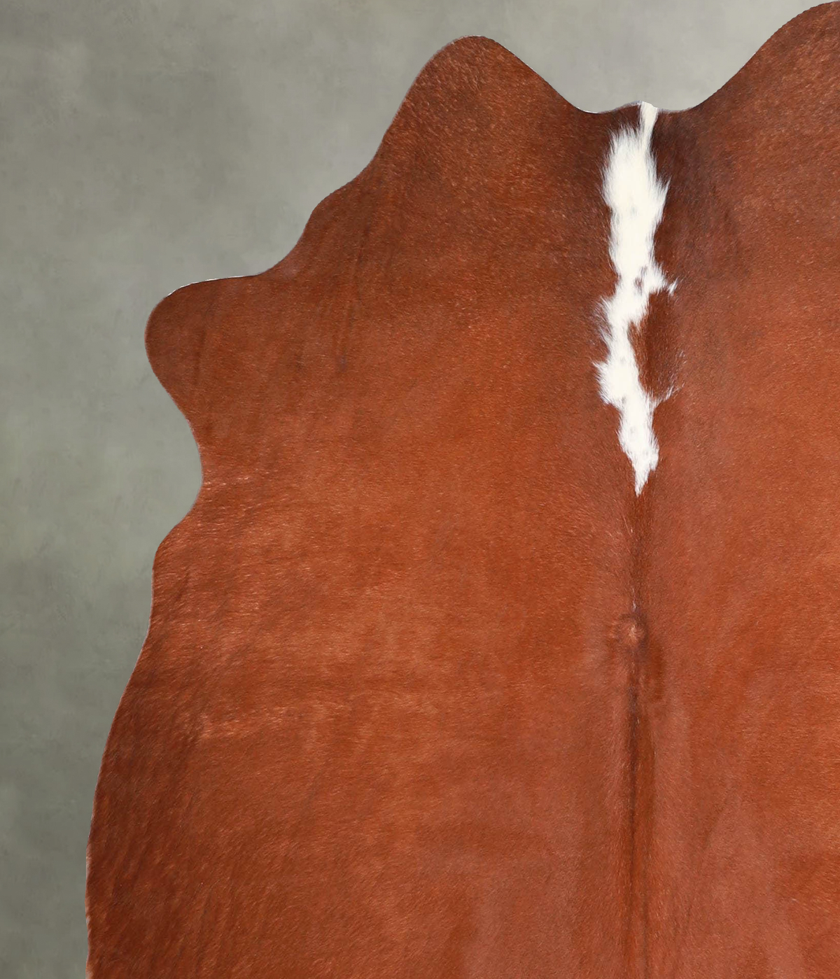 Brown and White Regular Medium Brazilian Cowhide Rug 5'7"H x 5'1"W #A55875 by Hudson Hides