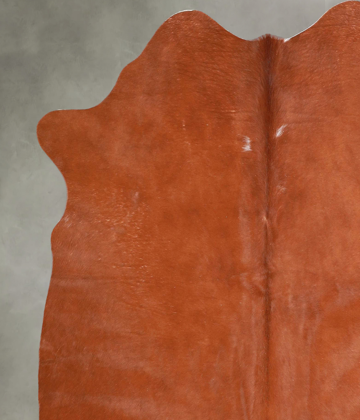 Solid Brown Medium Brazilian Cowhide Rug 5'5"H x 4'10"W #A55876 by Hudson Hides