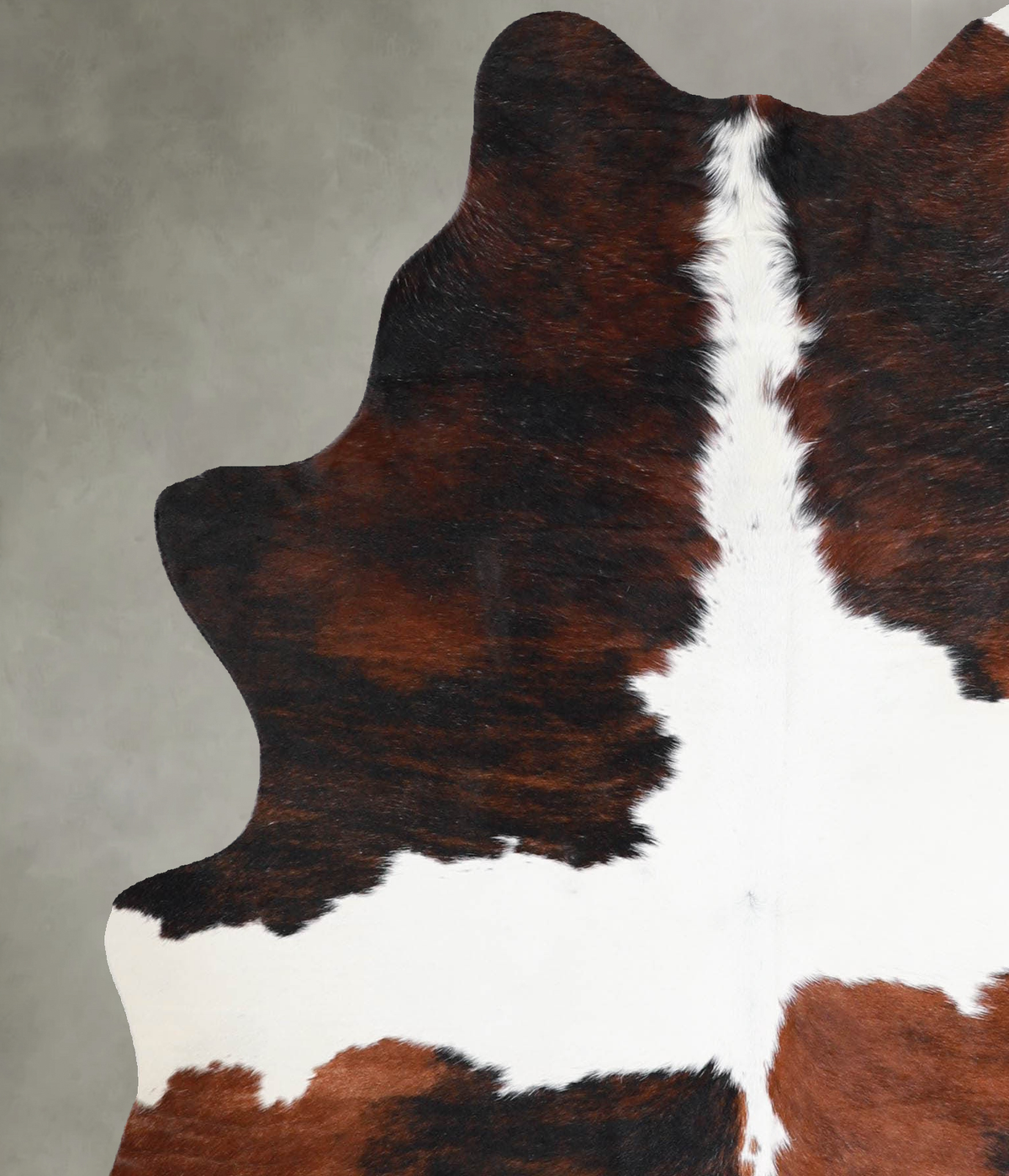 Tricolor Medium Brazilian Cowhide Rug 5'10"H x 4'9"W #A55879 by Hudson Hides