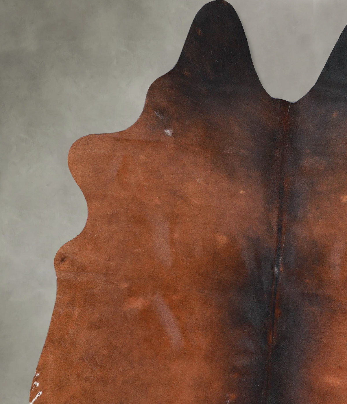 Warm Caramel Medium Brazilian Cowhide Rug 5'5"H x 5'1"W #A55883 by Hudson Hides