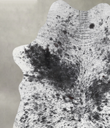 Salt and Pepper Black Medium Brazilian Cowhide Rug 5'9"H x 5'0"W #A55891 by Hudson Hides