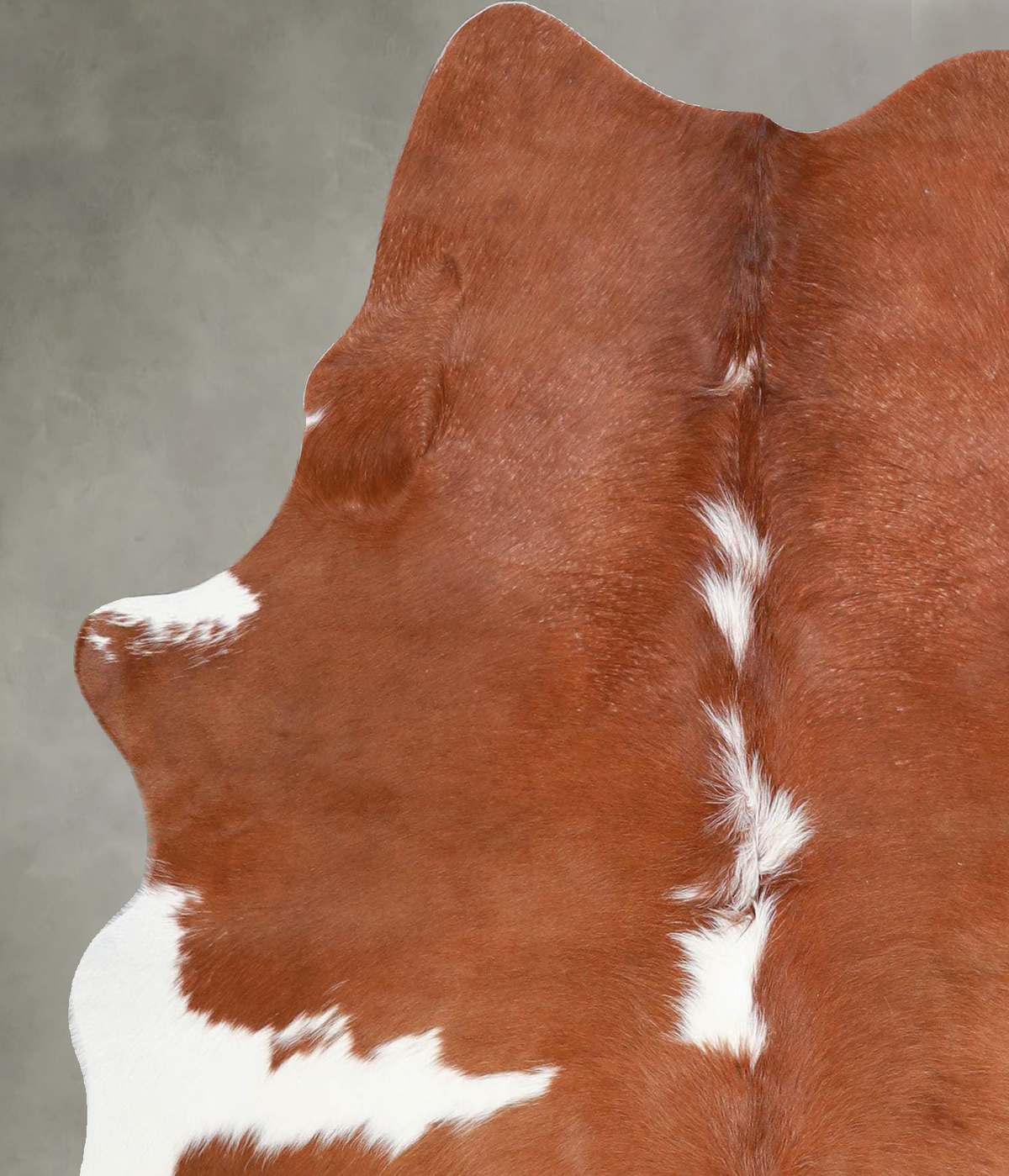 Brown and White Regular Medium Brazilian Cowhide Rug 5'4"H x 4'8"W #A55901 by Hudson Hides
