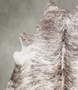 Light Brindle X-Large Brazilian Cowhide Rug 6'4"H x 6'3"W #A55906 by Hudson Hides