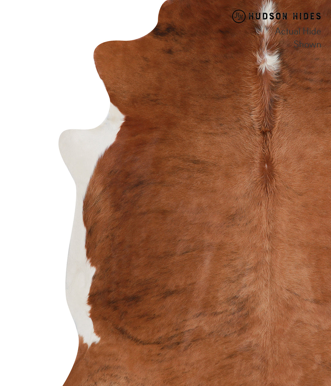 Medium Brindle XX-Large Brazilian Cowhide Rug 7'8"H x 7'2"W #A5591 by 