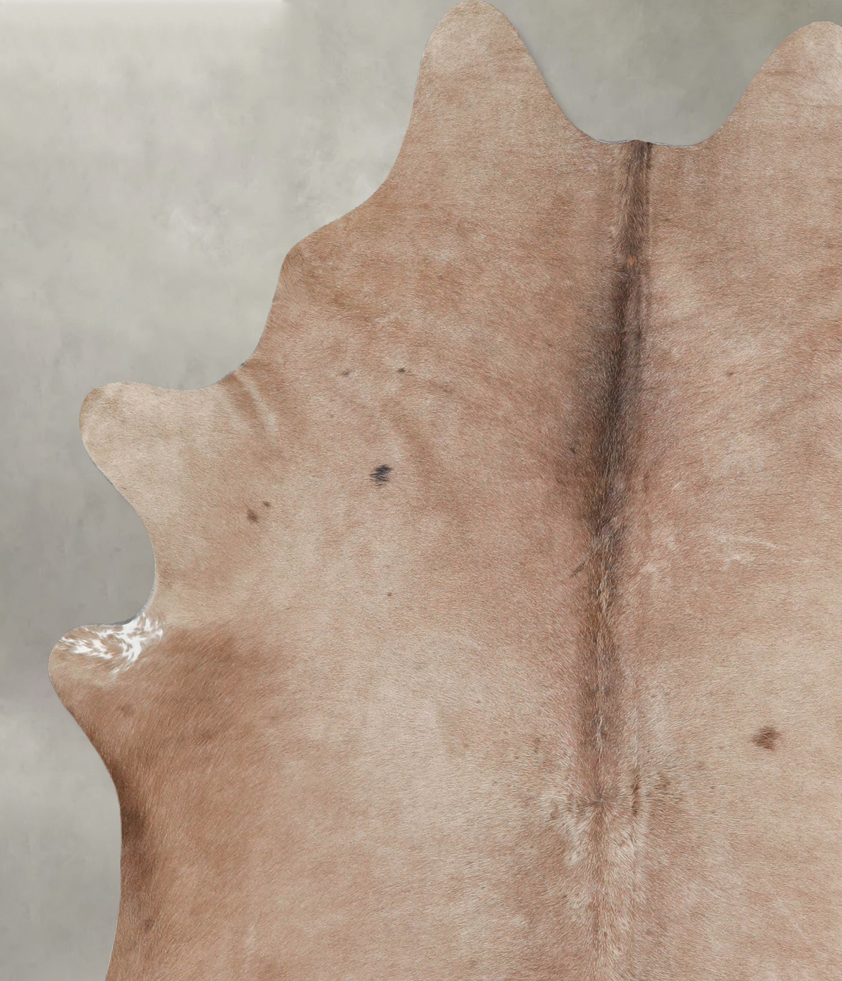 Taupe Large Brazilian Cowhide Rug 6'9"H x 5'8"W #A55911 by Hudson Hides