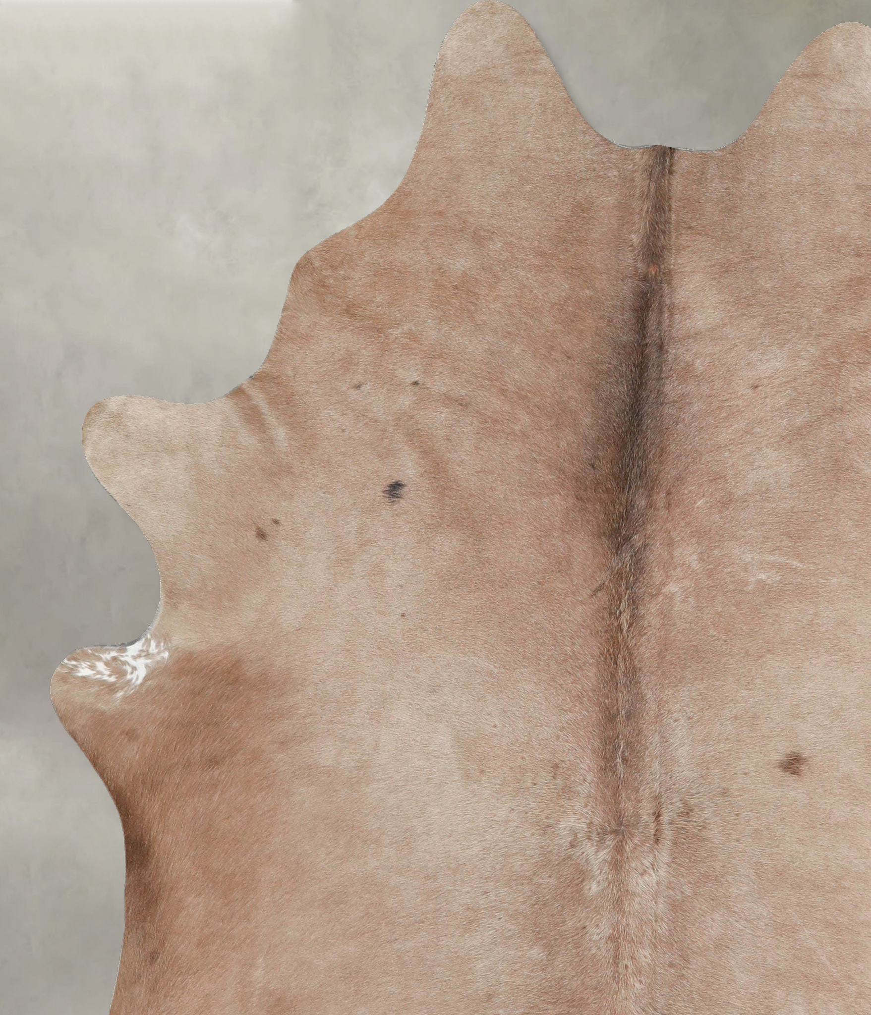 Taupe Cowhide Rug #A55911