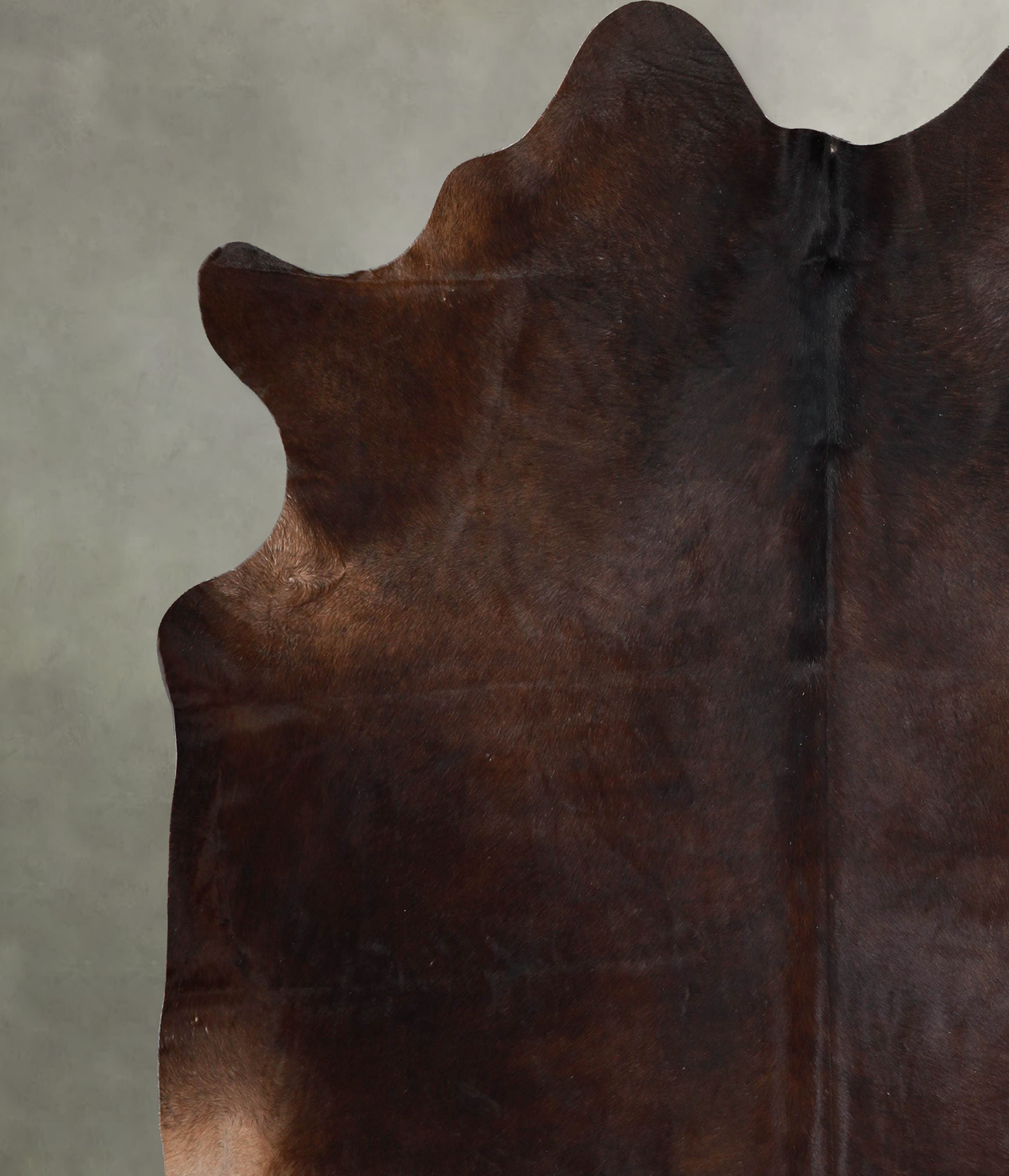 Chocolate XX-Large Brazilian Cowhide Rug 7'9"H x 7'3"W #A55916 by Hudson Hides