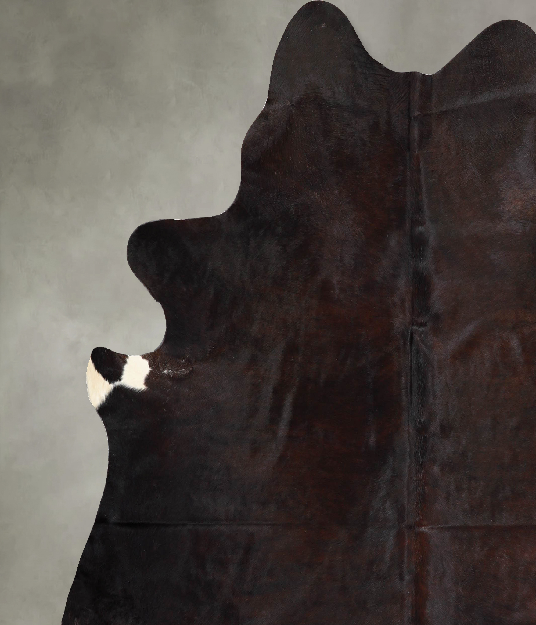 Chocolate Cowhide Rug #A55921