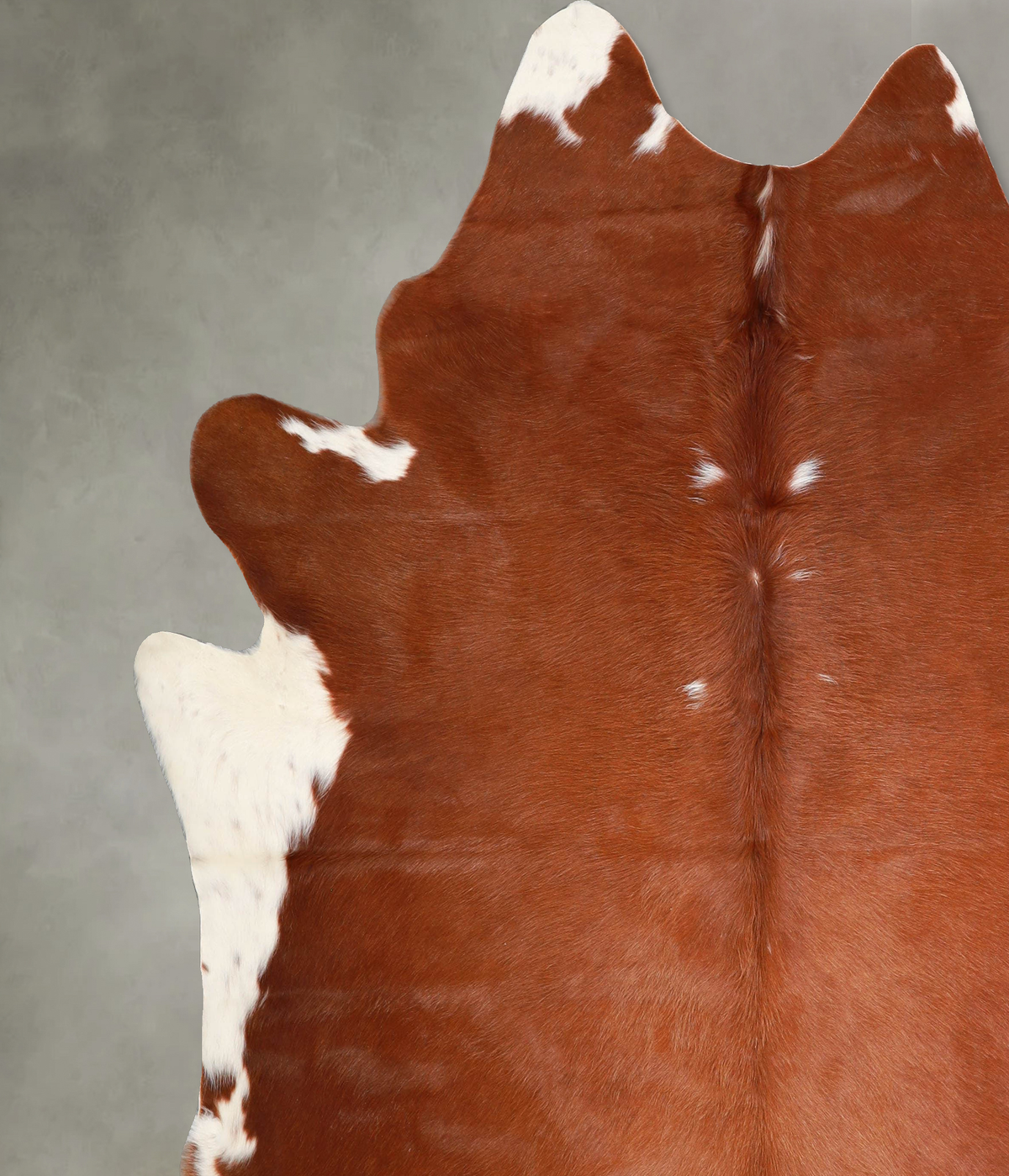 Brown and White Regular XX-Large Brazilian Cowhide Rug 7'10"H x 7'4"W #A55922 by Hudson Hides