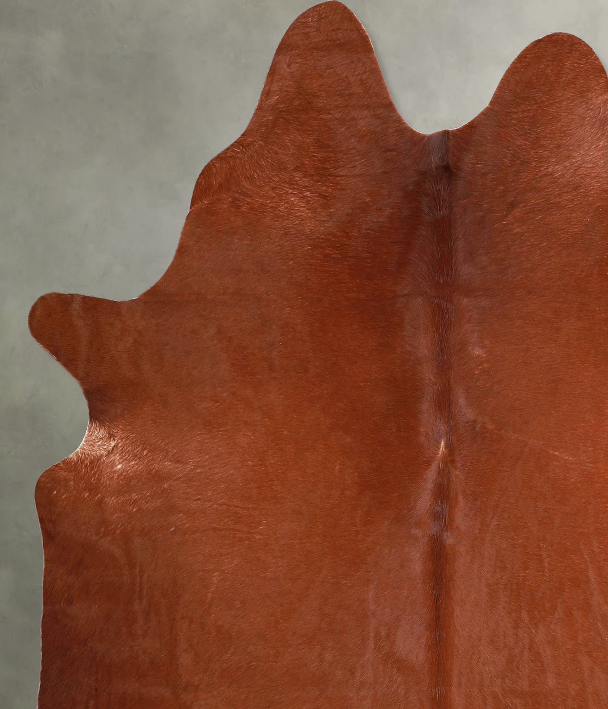 Solid Brown X-Large Brazilian Cowhide Rug 6'8"H x 6'2"W #A55924 by Hudson Hides