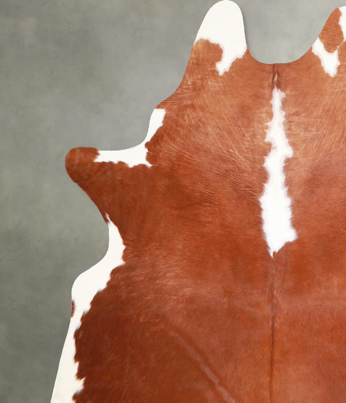 Hereford X-Large Brazilian Cowhide Rug 7'7"H x 6'4"W #A55925 by Hudson Hides