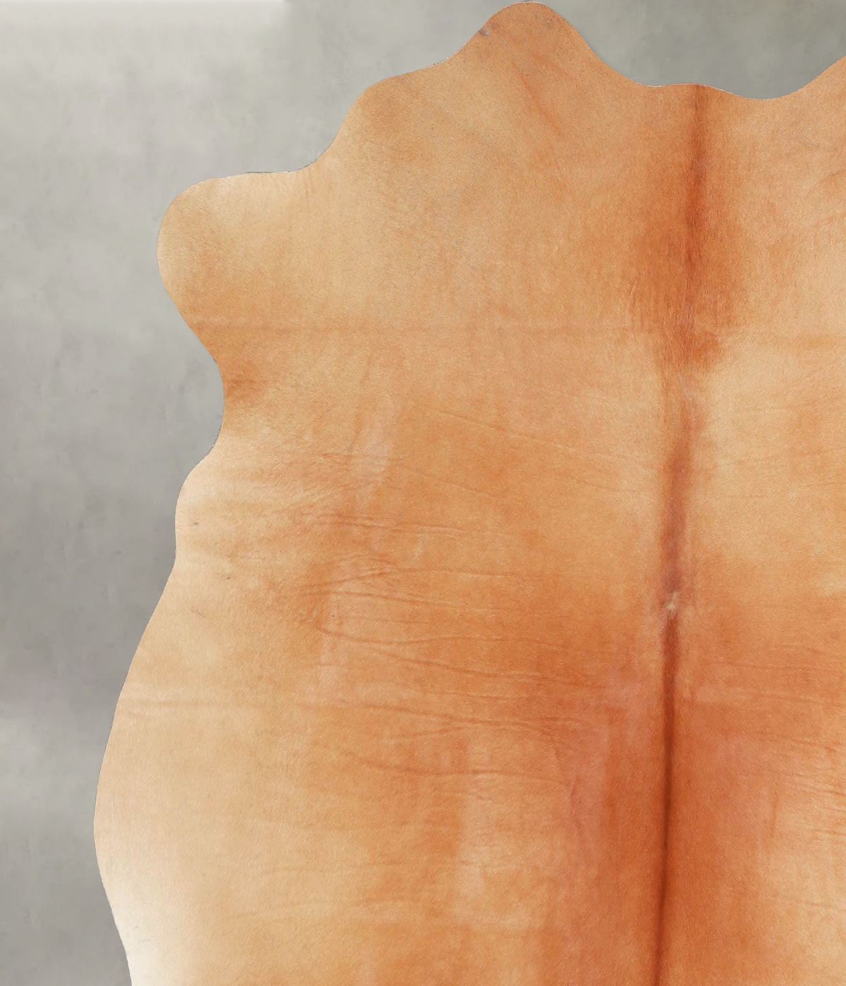 Solid Brown Large Brazilian Cowhide Rug 6'3"H x 6'0"W #A55932 by Hudson Hides