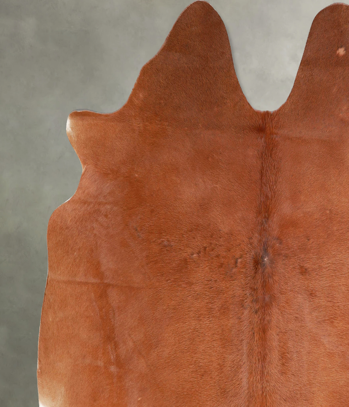 Solid Brown X-Large Brazilian Cowhide Rug 6'2"H x 6'6"W #A55933 by Hudson Hides