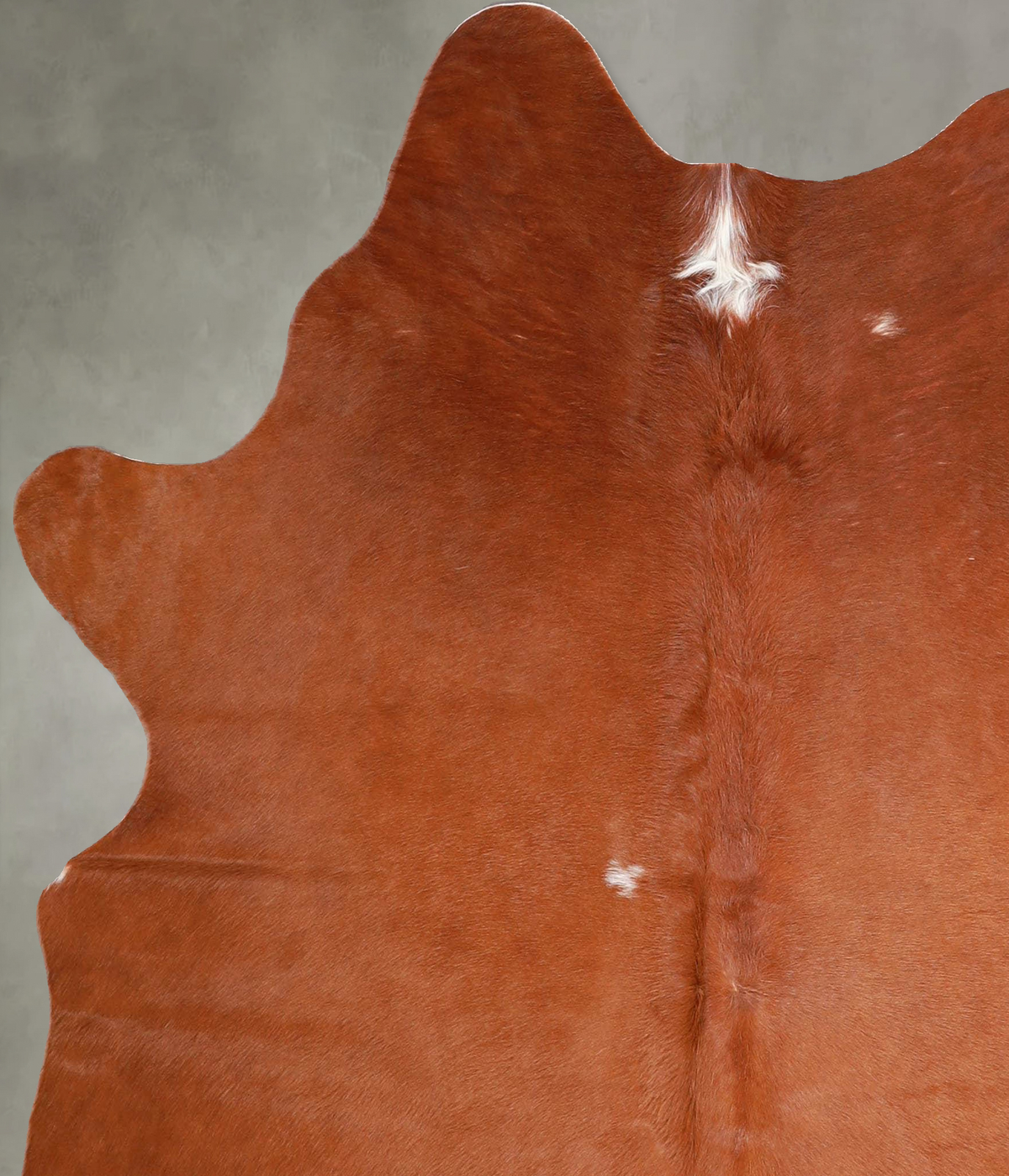 Solid Brown Large Brazilian Cowhide Rug 5'8"H x 5'5"W #A55938 by Hudson Hides