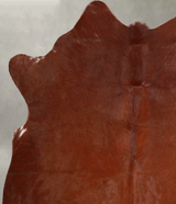 Solid Brown Medium Brazilian Cowhide Rug 5'3"H x 5'1"W #A55944 by Hudson Hides