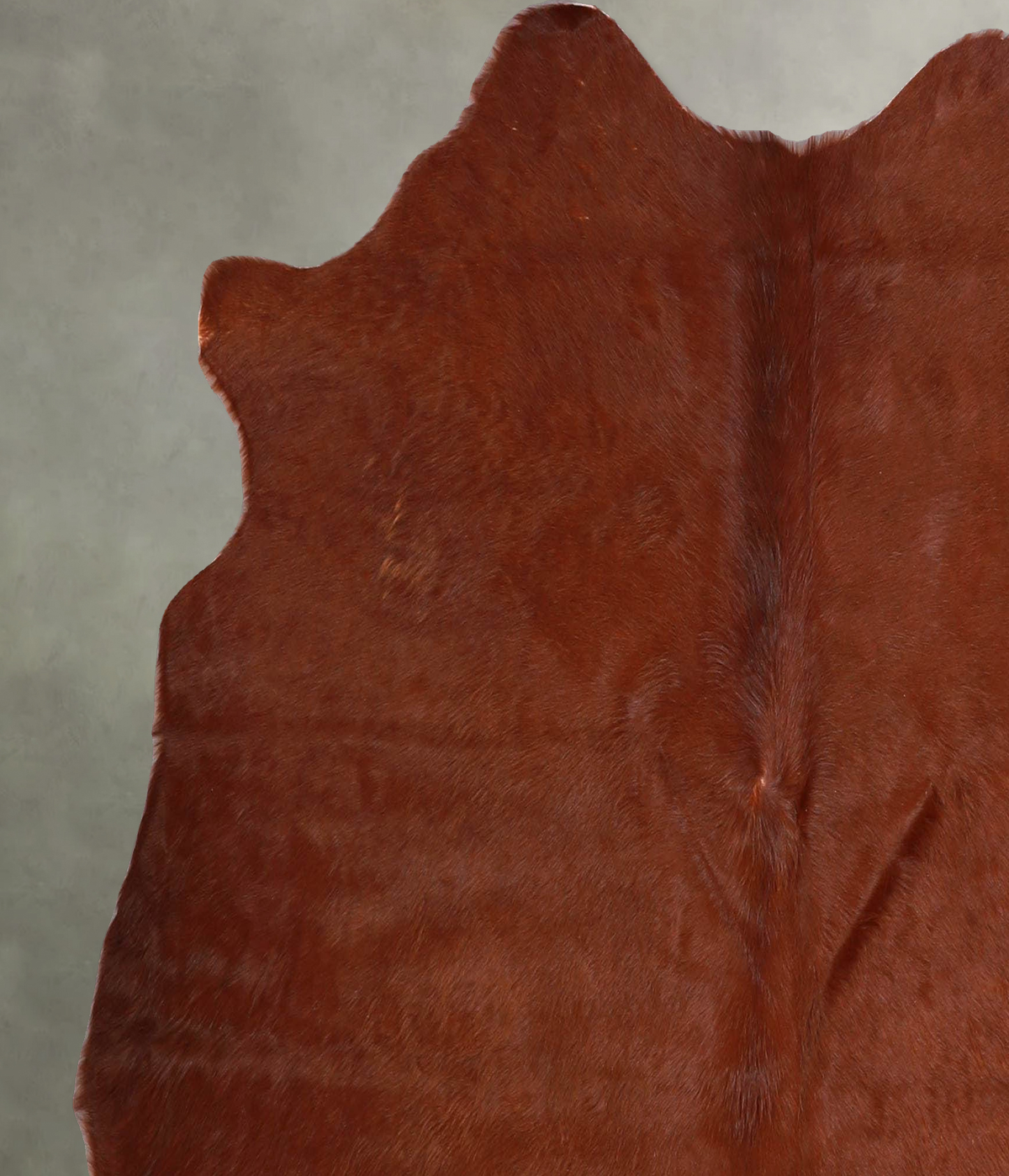 Solid Brown Medium Brazilian Cowhide Rug 4'11"H x 5'4"W #A55947 by Hudson Hides