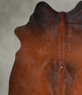 Warm Caramel Medium Brazilian Cowhide Rug 5'7"H x 5'2"W #A55949 by Hudson Hides