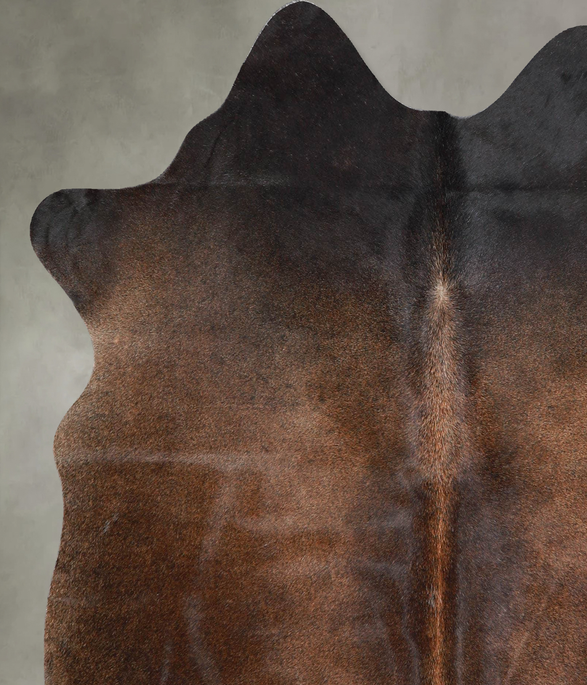 Warm Caramel Medium Brazilian Cowhide Rug 5'6"H x 4'11"W #A55950 by Hudson Hides