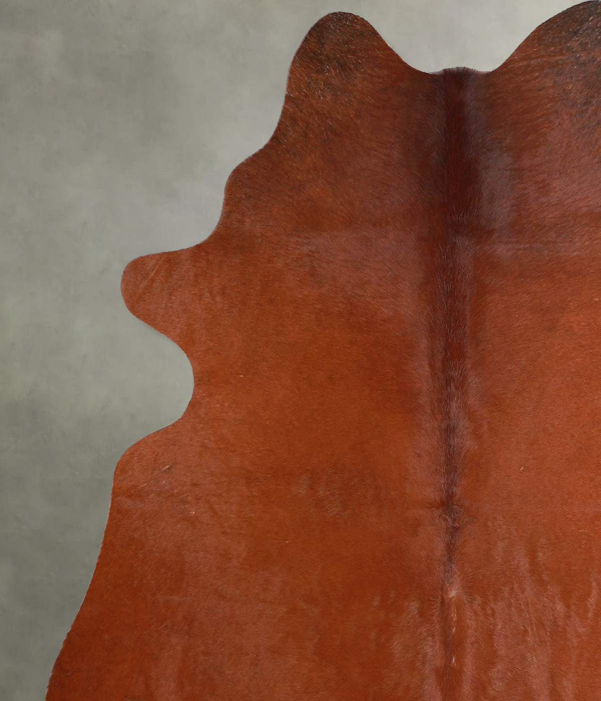 Solid Brown Large Brazilian Cowhide Rug 5'10"H x 5'3"W #A55951 by Hudson Hides