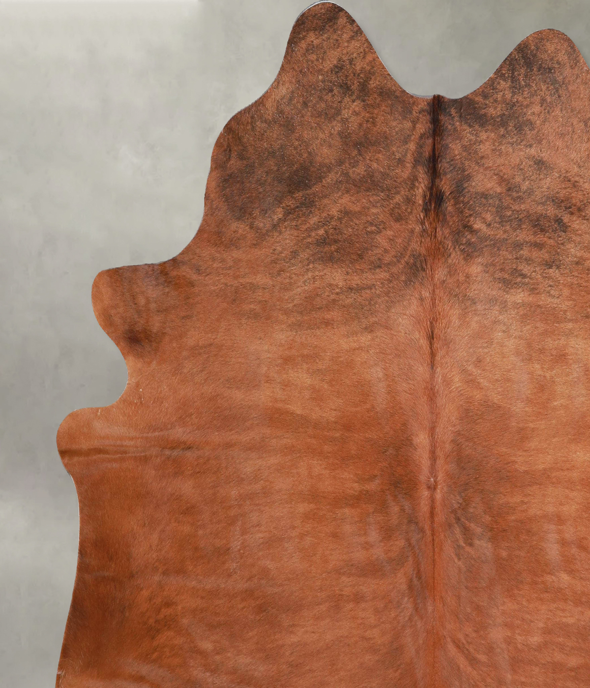 Medium Brindle X-Large Brazilian Cowhide Rug 6'5"H x 6'6"W #A55955 by Hudson Hides