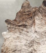 Light Brindle X-Large Brazilian Cowhide Rug 7'4"H x 6'1"W #A55959 by Hudson Hides