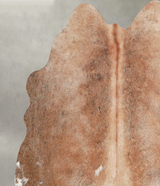 Light Caramel Medium Brazilian Cowhide Rug 4'3"H x 5'3"W #A55979 by Hudson Hides