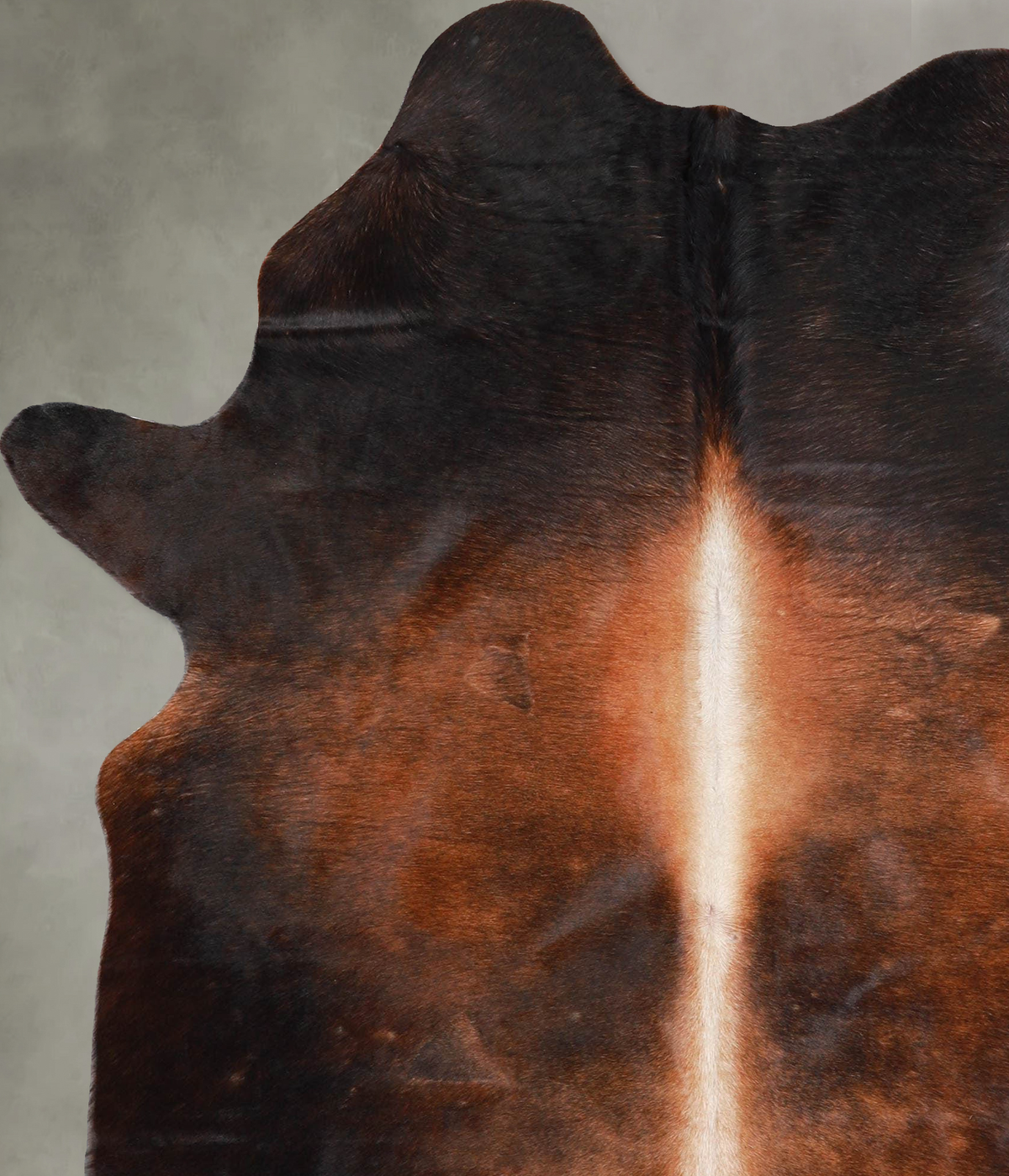 Warm Caramel Large Brazilian Cowhide Rug 6'7"H x 5'3"W #A55984 by Hudson Hides