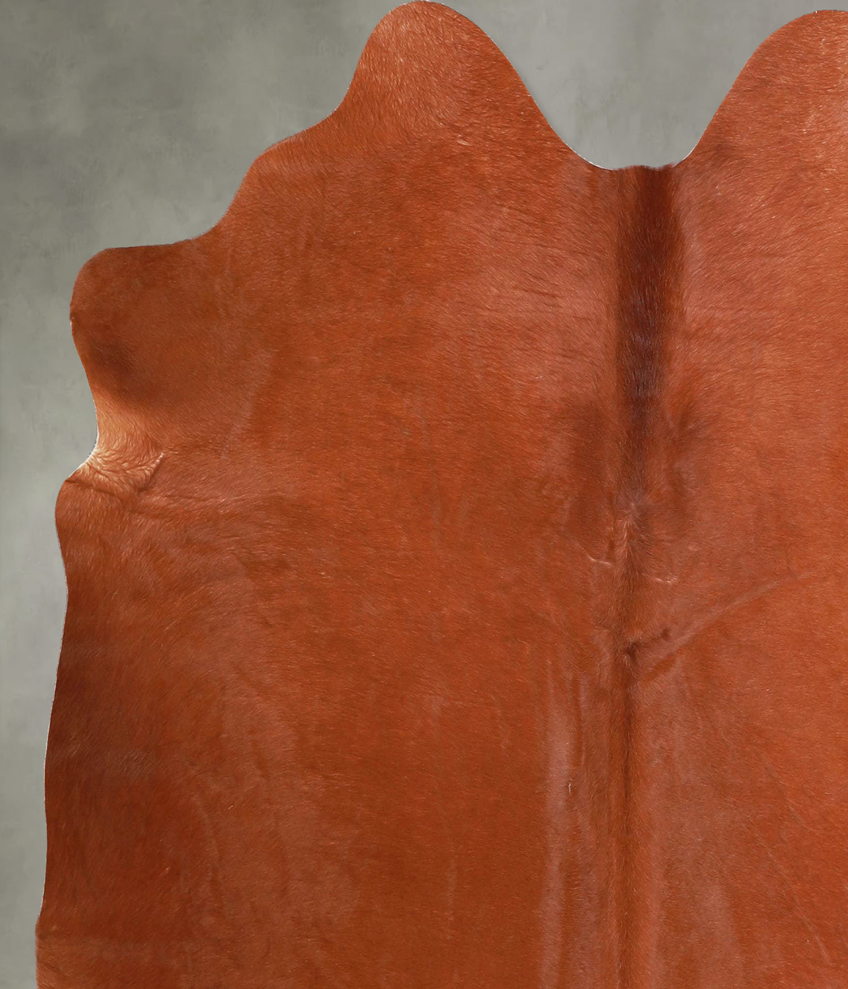 Solid Brown Large Brazilian Cowhide Rug 5'7"H x 5'5"W #A55985 by Hudson Hides