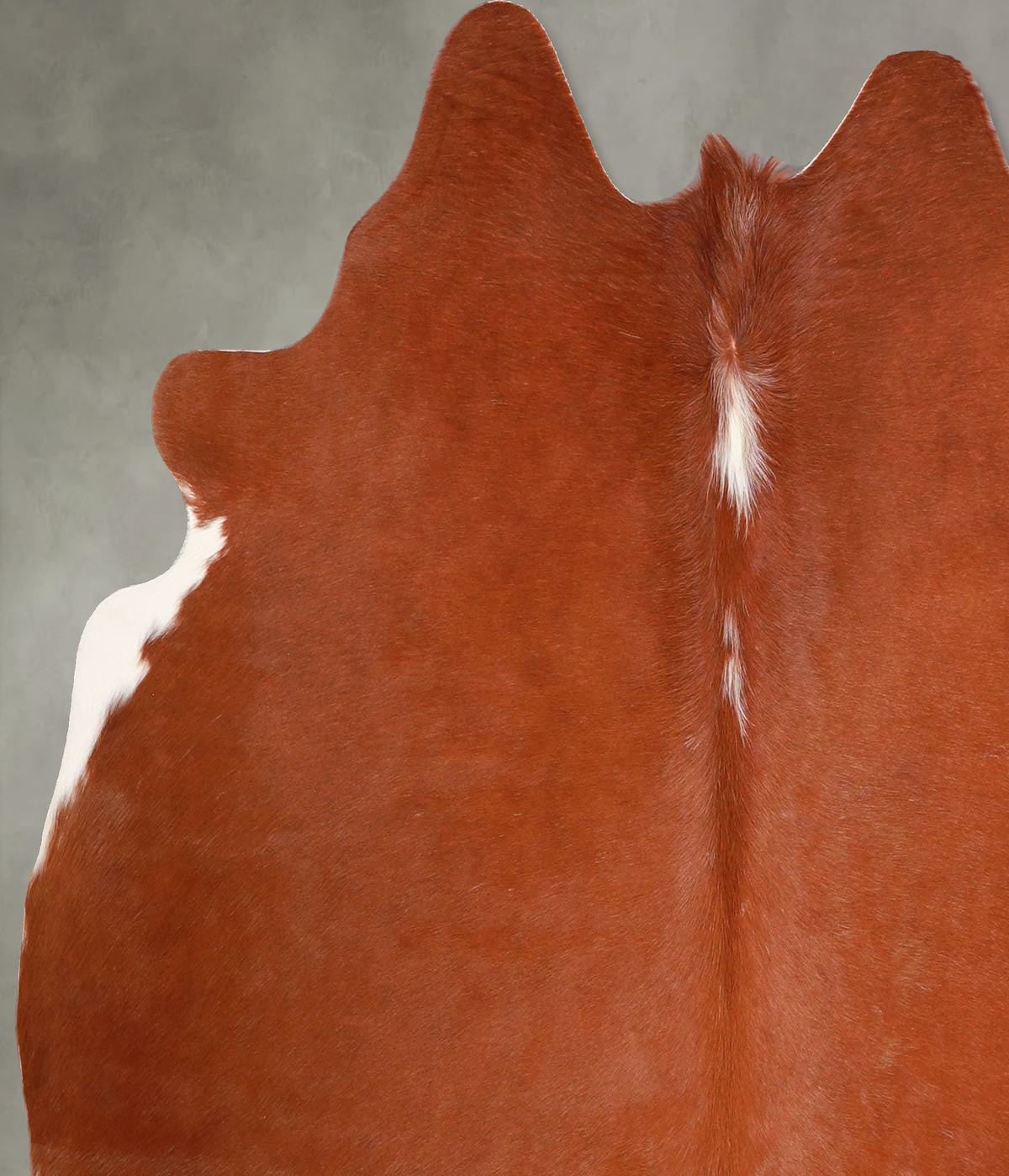 Brown and White Regular Medium Brazilian Cowhide Rug 5'2"H x 5'7"W #A55986 by Hudson Hides