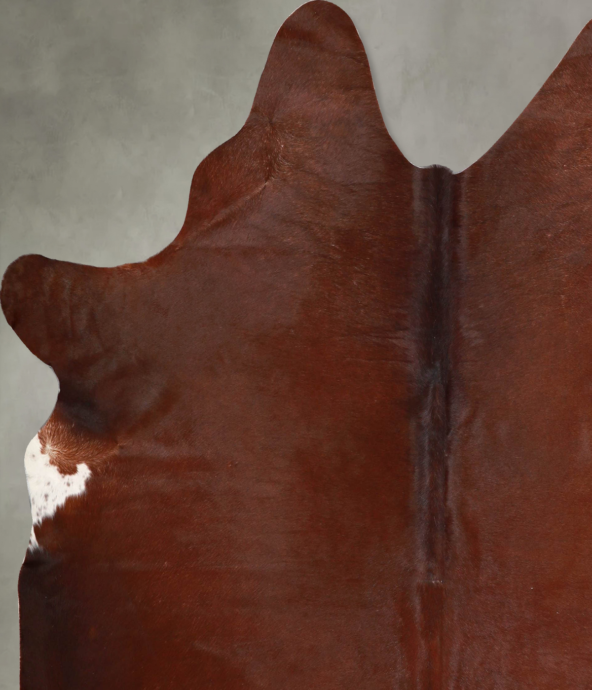 Solid Brown Large Brazilian Cowhide Rug 6'8"H x 5'11"W #A55987 by Hudson Hides
