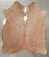 Solid Brown Medium Brazilian Cowhide Rug 5'2"H x 4'10"W #A55988 by Hudson Hides
