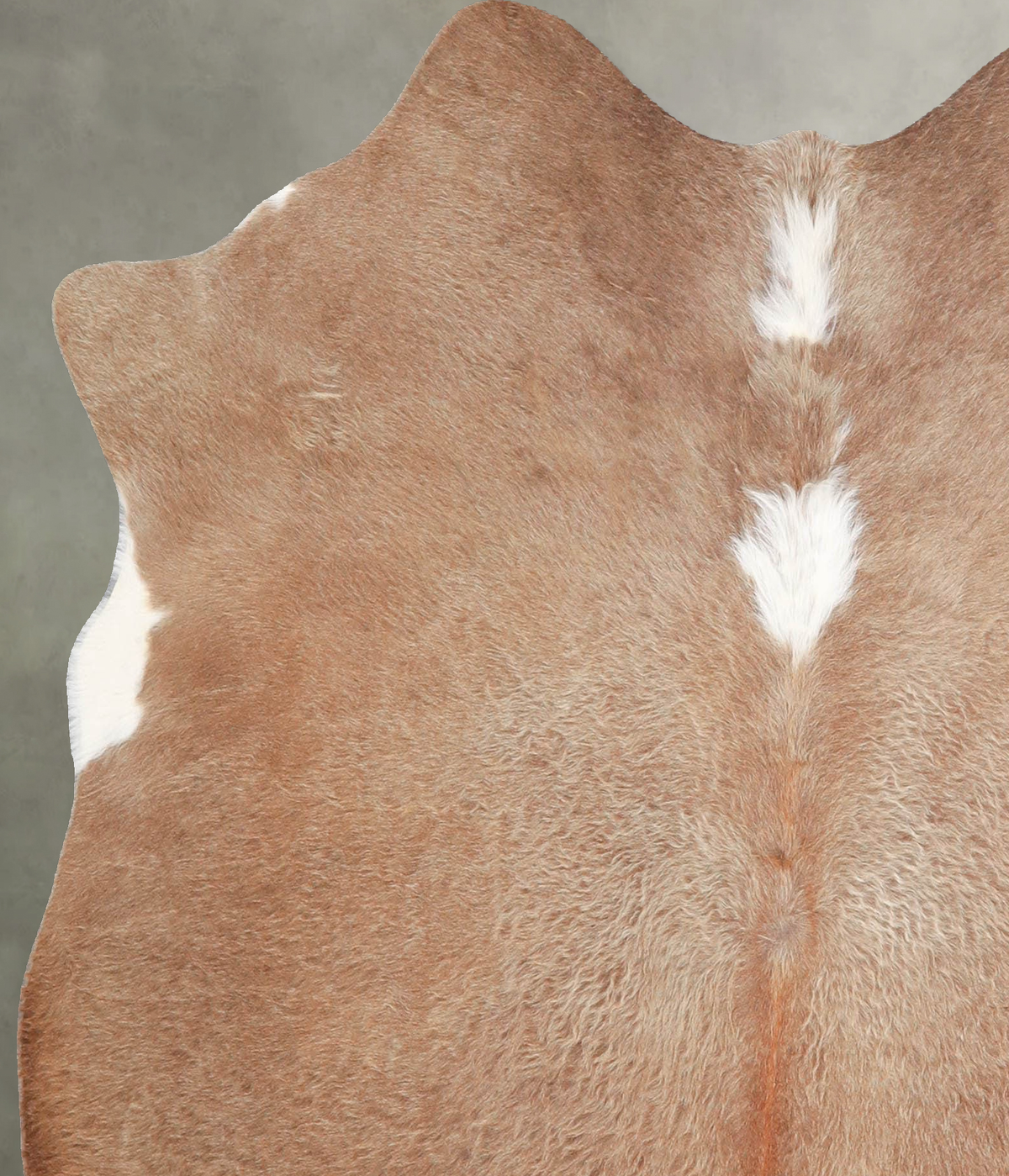 Solid Brown Medium Brazilian Cowhide Rug 5'2"H x 4'10"W #A55988 by Hudson Hides
