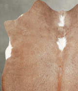 Solid Brown Medium Brazilian Cowhide Rug 5'2"H x 4'10"W #A55988 by Hudson Hides
