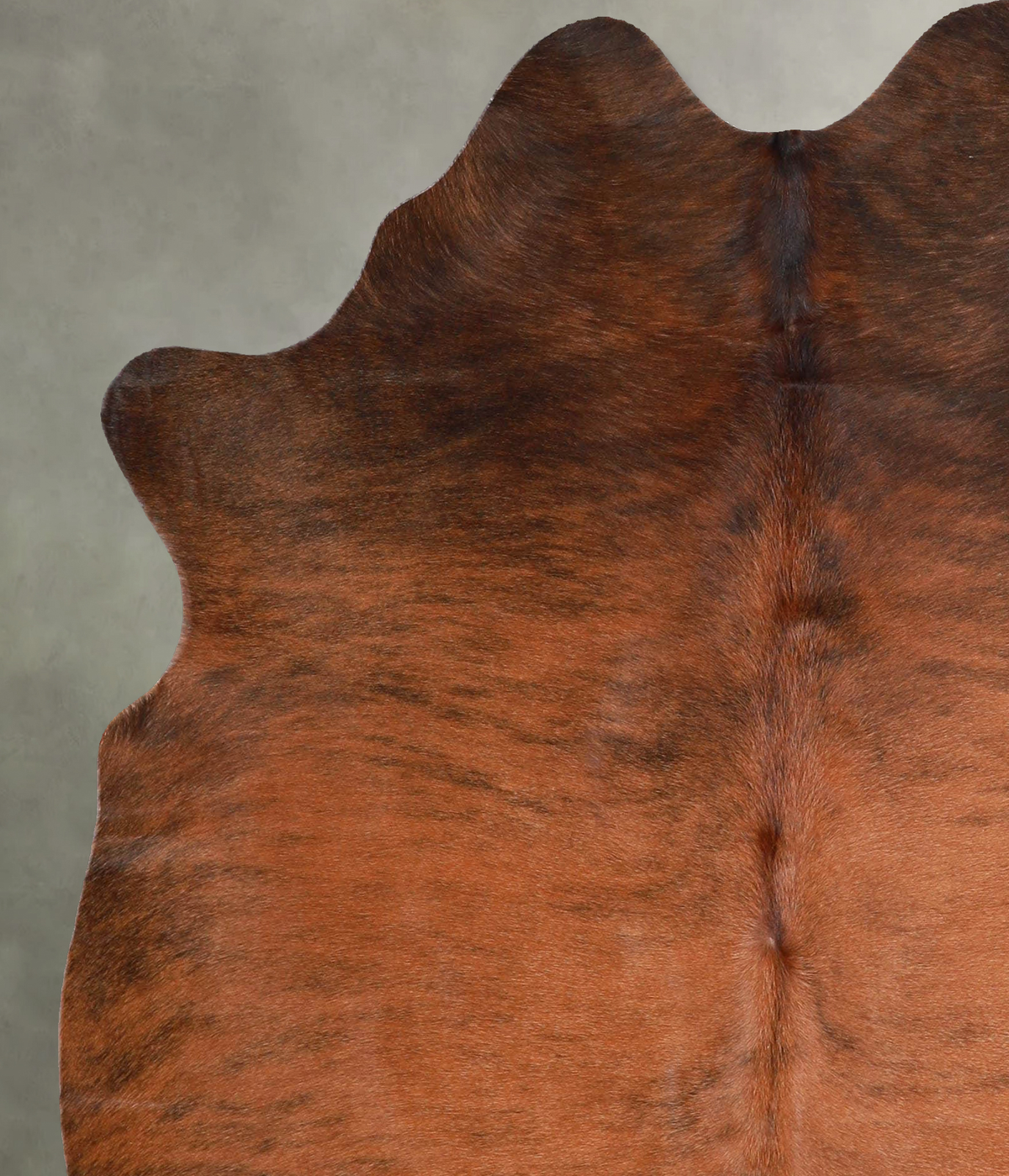 Medium Brindle Medium Brazilian Cowhide Rug 5'11"H x 5'0"W #A55989 by Hudson Hides