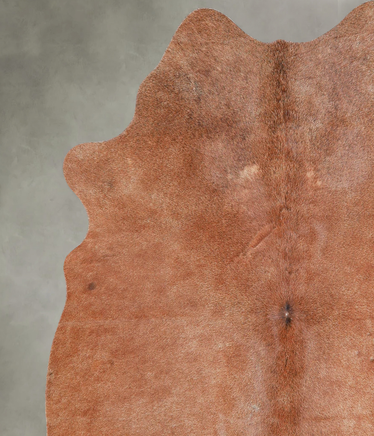 Solid Brown Medium Brazilian Cowhide Rug 5'7"H x 5'2"W #A55990 by Hudson Hides