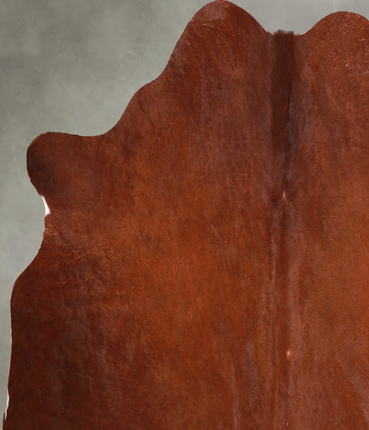 Solid Brown Medium Brazilian Cowhide Rug 4'10"H x 5'4"W #A55993 by Hudson Hides