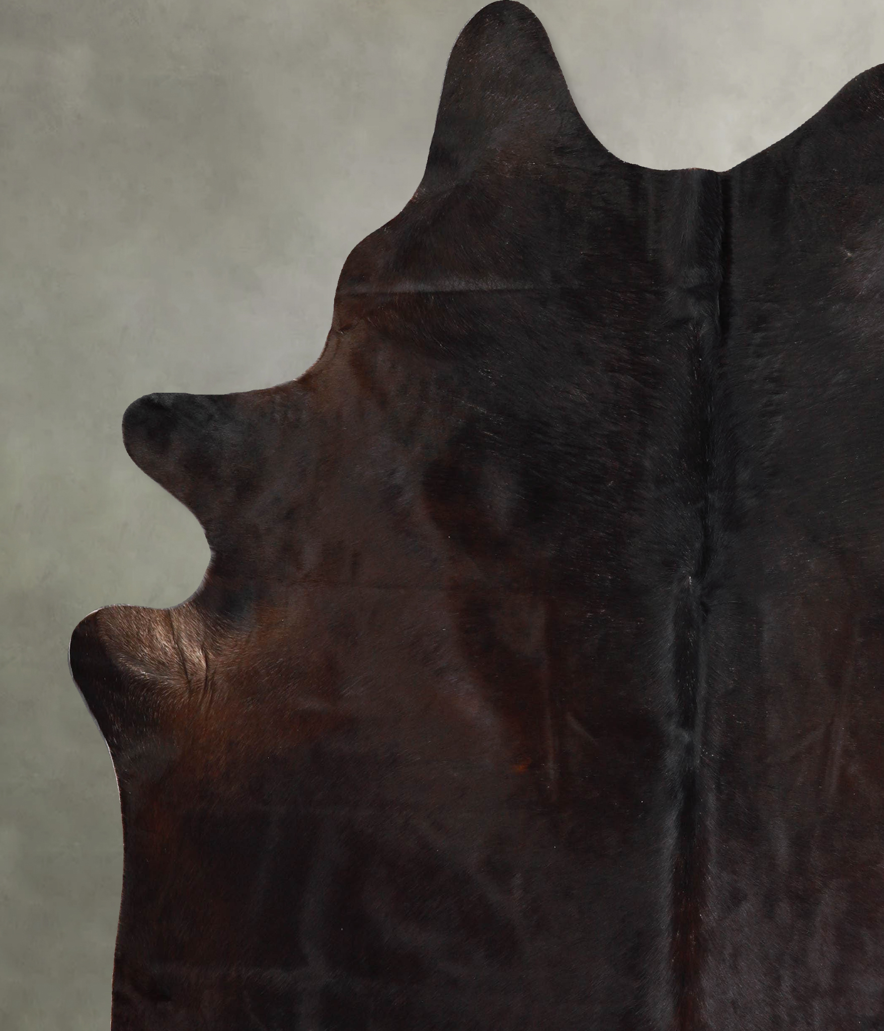 Chocolate Cowhide Rug #A55999