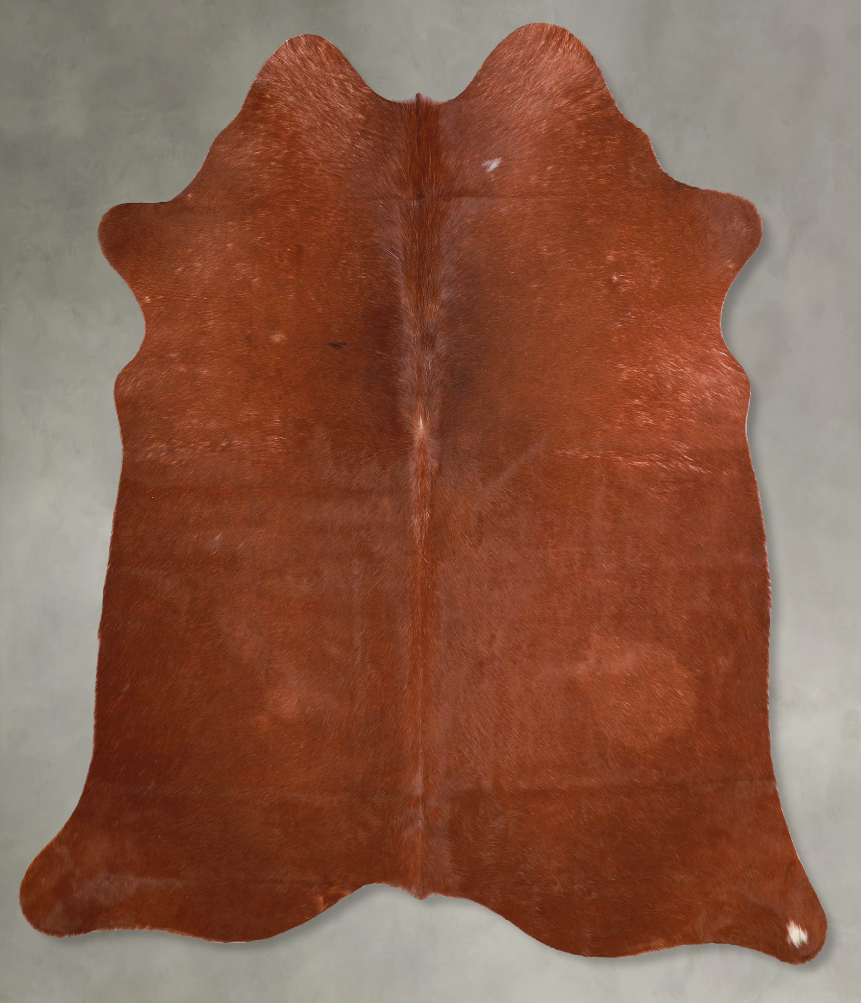 Solid Brown Cowhide Rug #A56004