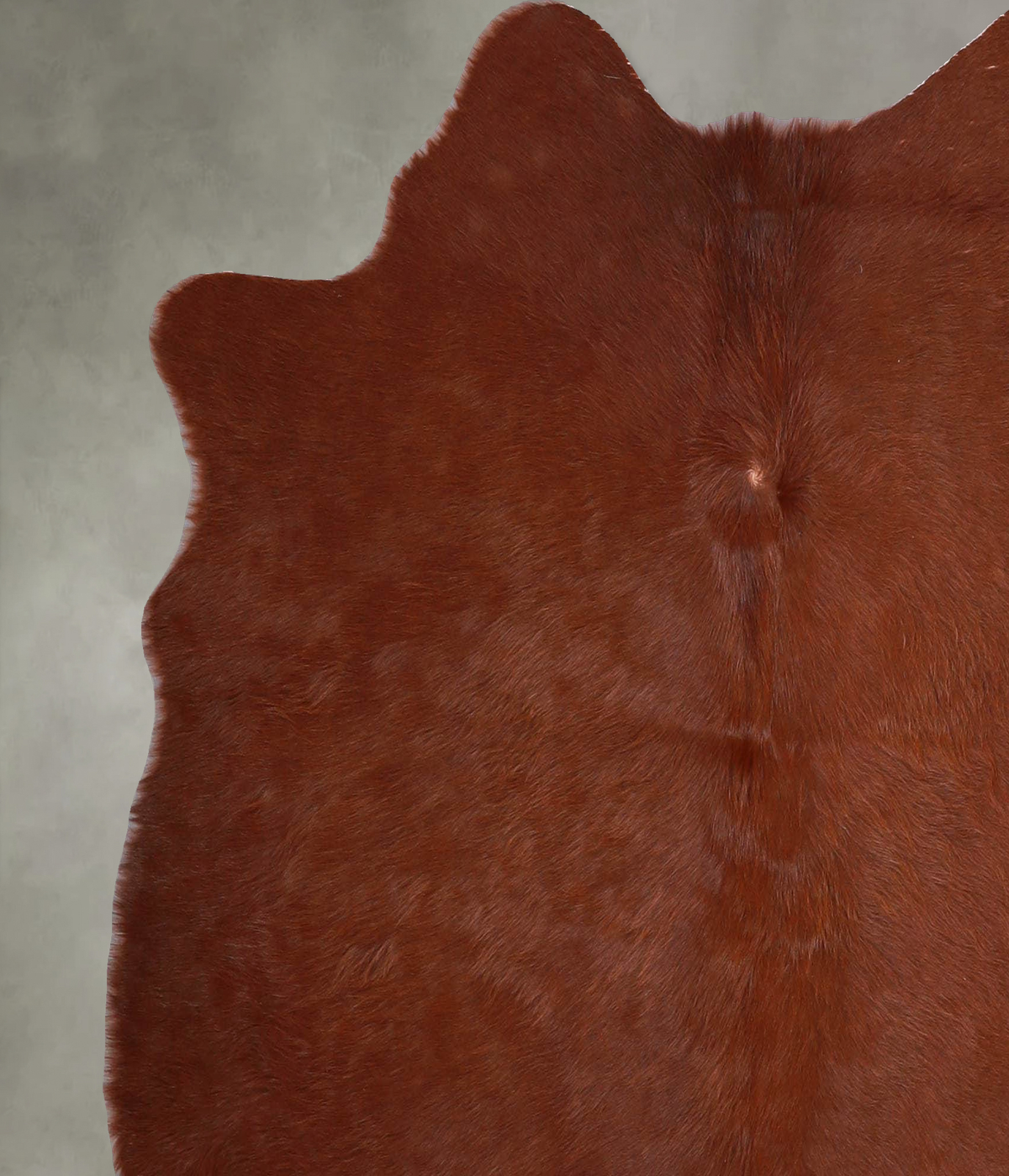 Solid Brown Medium Brazilian Cowhide Rug 5'2"H x 5'3"W #A56005 by Hudson Hides