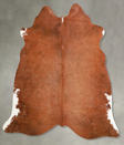 Brown and White Regular Medium Brazilian Cowhide Rug 5'3"H x 5'6"W #A56006 by Hudson Hides