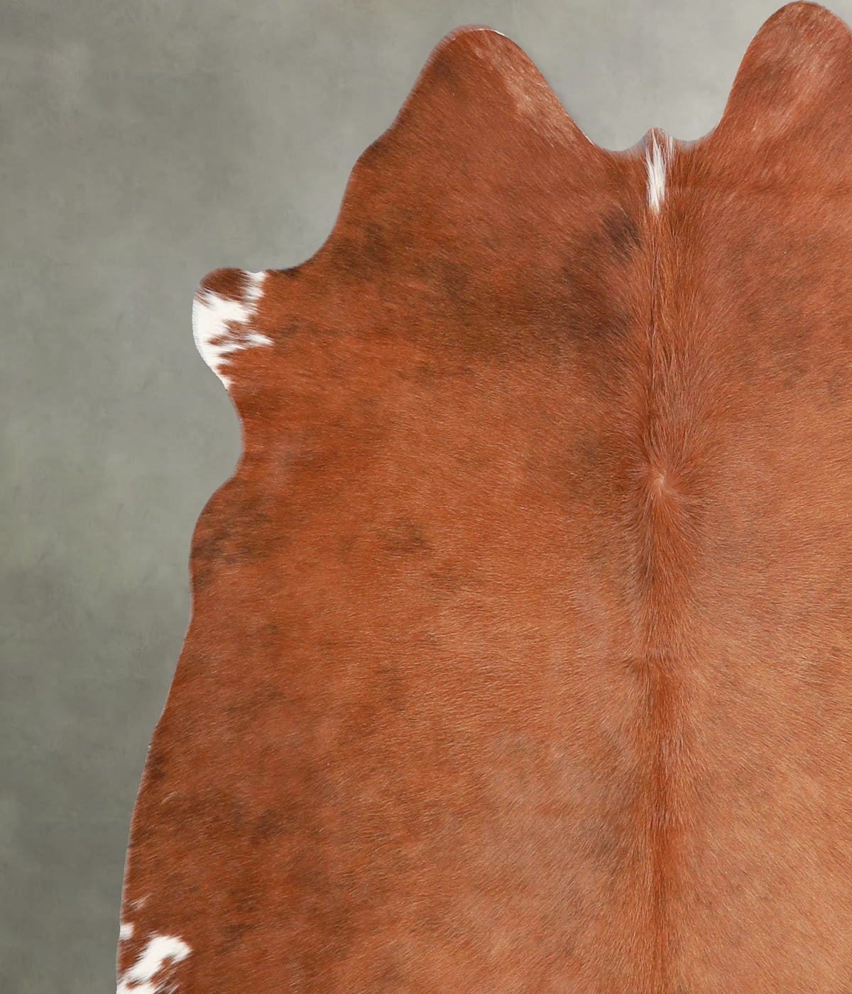 Brown and White Regular Medium Brazilian Cowhide Rug 5'3"H x 5'6"W #A56006 by Hudson Hides