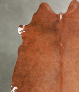 Brown and White Regular Medium Brazilian Cowhide Rug 5'3"H x 5'6"W #A56006 by Hudson Hides
