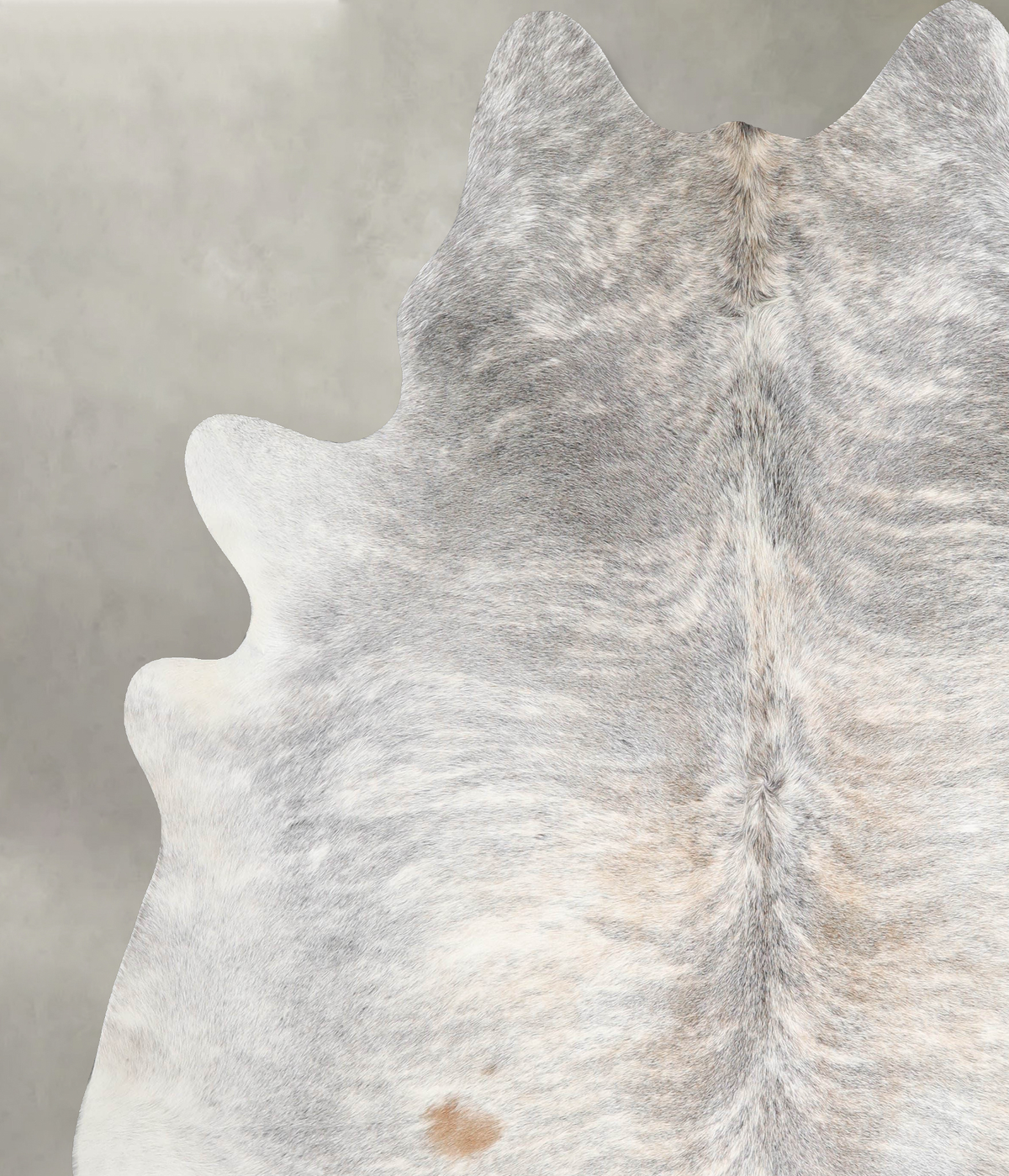 Light Brindle XX-Large Brazilian Cowhide Rug 8'3"H x 7'4"W #A56034 by Hudson Hides