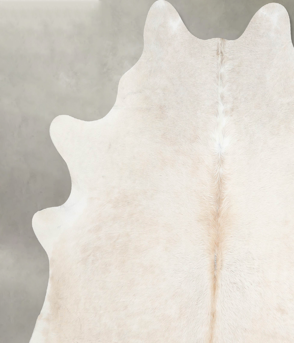 Champagne X-Large Brazilian Cowhide Rug 6'9"H x 6'1"W #A56040 by Hudson Hides
