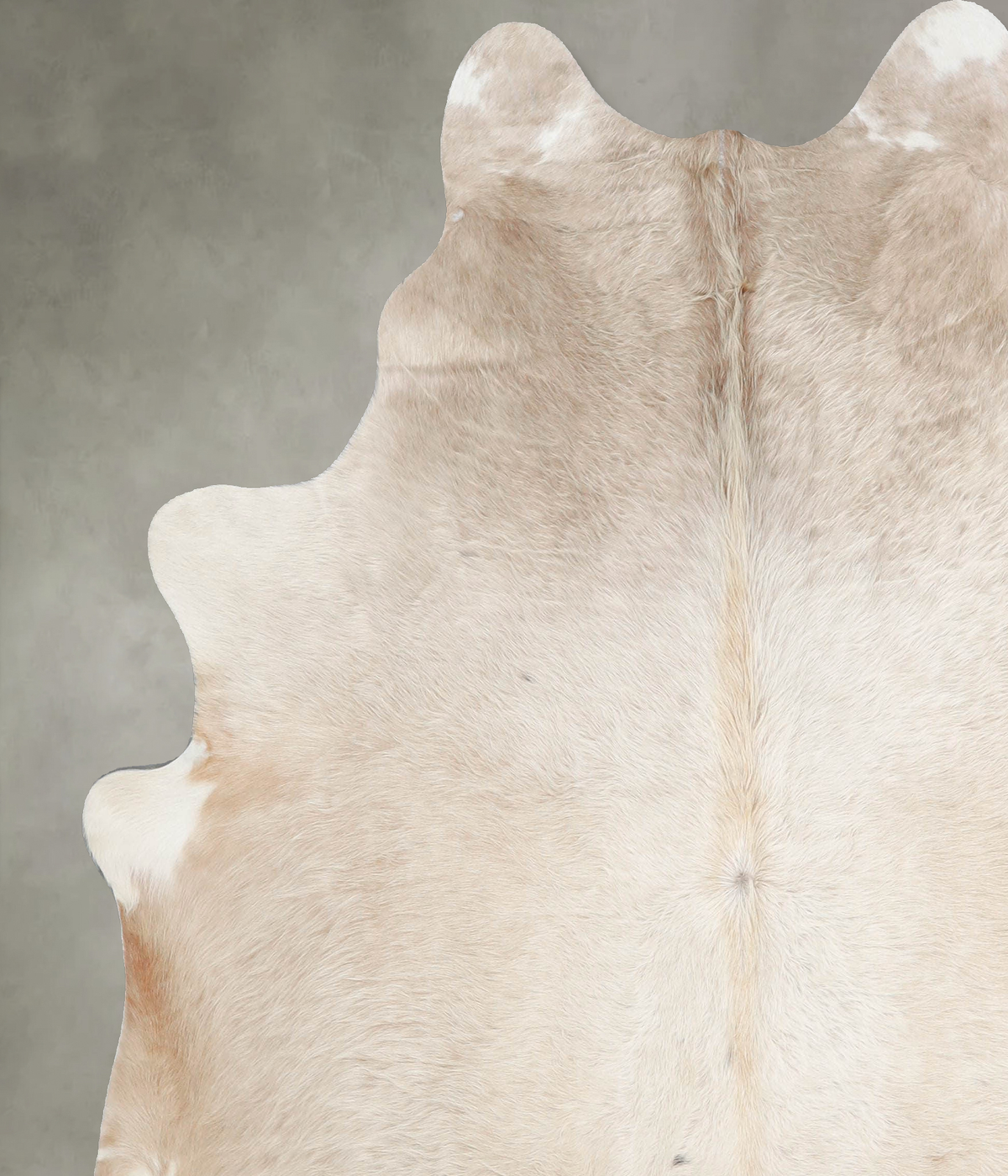 Champagne X-Large Brazilian Cowhide Rug 6'8"H x 6'0"W #A56041 by Hudson Hides