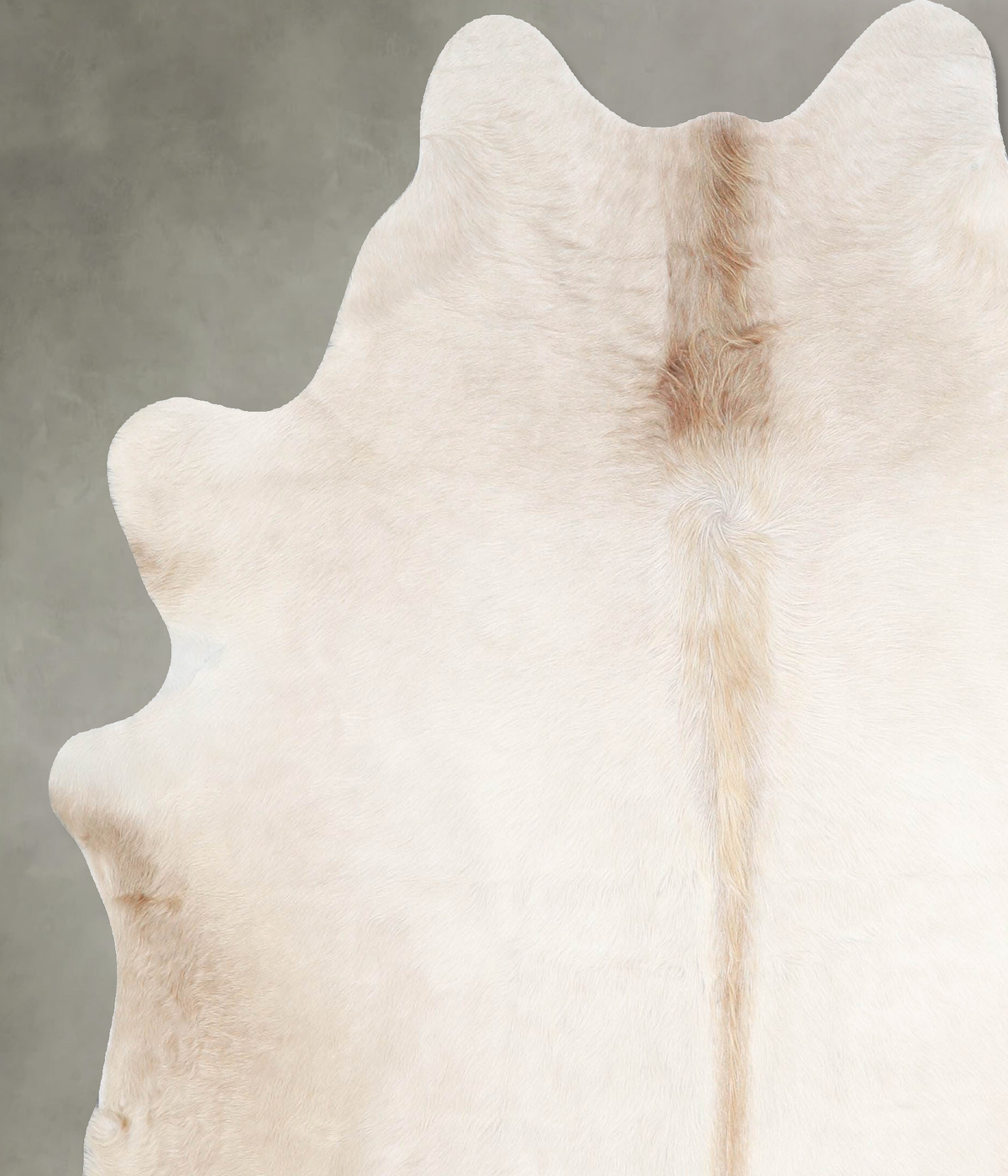 Champagne Large Brazilian Cowhide Rug 6'2"H x 5'9"W #A56044 by Hudson Hides