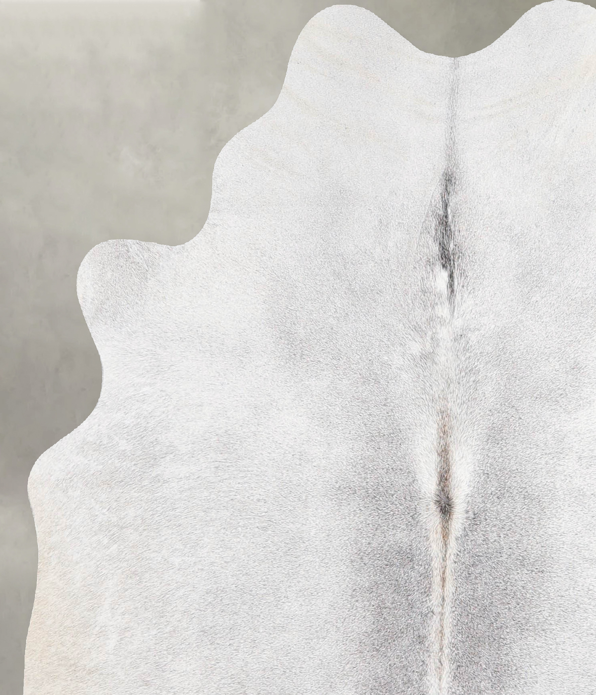 Light Grey Medium Brazilian Cowhide Rug 5'6"H x 4'7"W #A56065 by Hudson Hides
