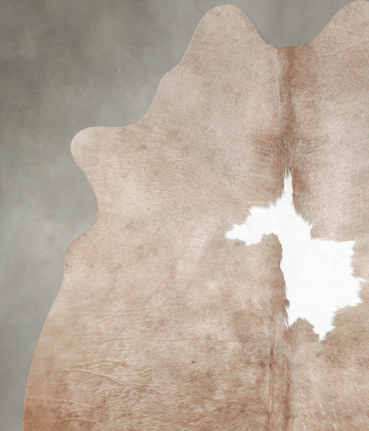 Taupe Medium Brazilian Cowhide Rug 5'1"H x 4'5"W #A56068 by Hudson Hides