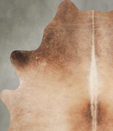 Light Caramel Medium Brazilian Cowhide Rug 5'8"H x 4'3"W #A56072 by Hudson Hides